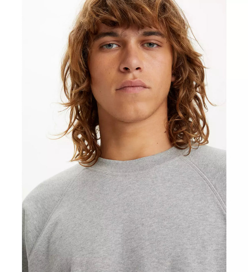 levi's® gold tab™ cut off raglan shirt A49030000XS- Grey – Levi's Hong Kong