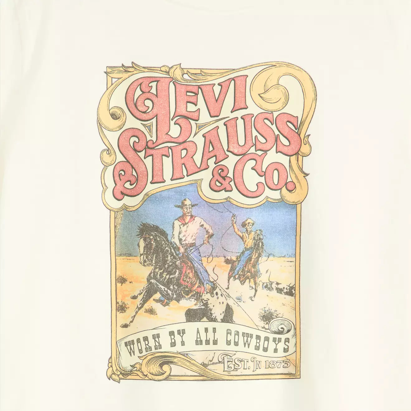 Levi's® Women's Graphic Boxy T-Shirt