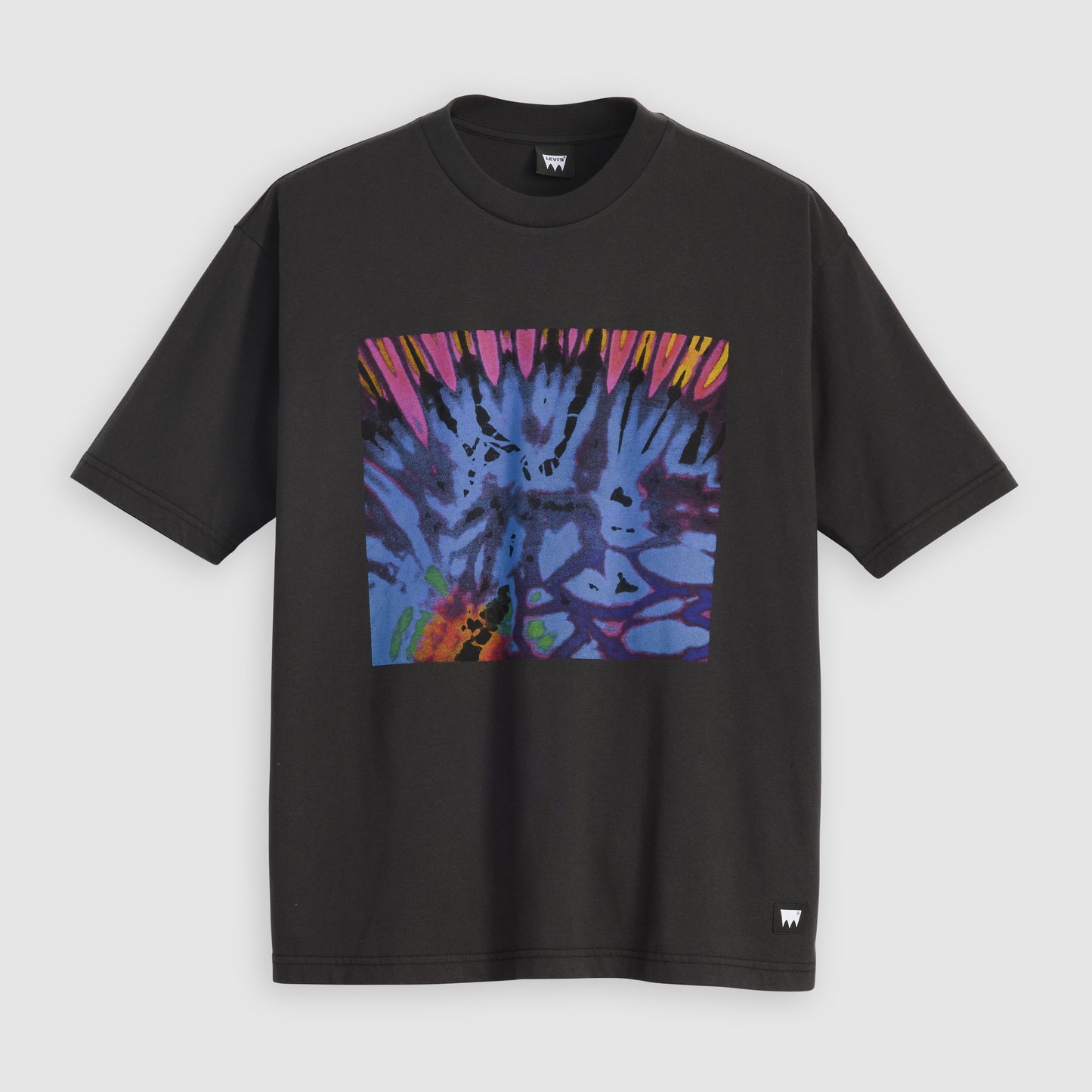 Levi's® Skateboarding Men's Graphic Boxy T-Shirt