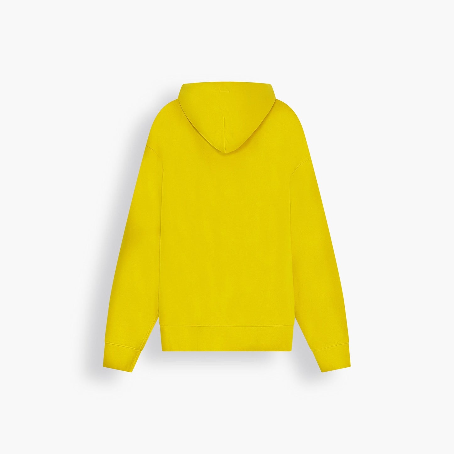 Levi's® Skate Men's Hooded Sweatshirt
