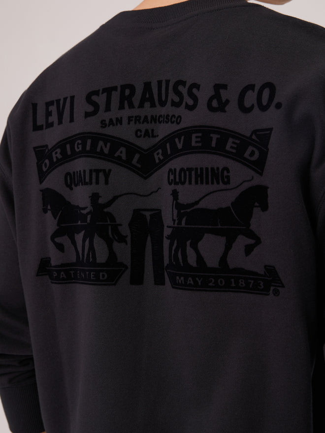 levi's® 2026 新年限定寬鬆衛衣 | 男裝 006P50001XS- Black  – Levi's 香港