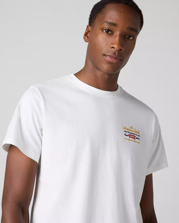 levi's® 寬鬆短袖圖案t恤 | 男裝 - multicolor | levi's hk 161432095XS- Multicolor  – Levi's 香港