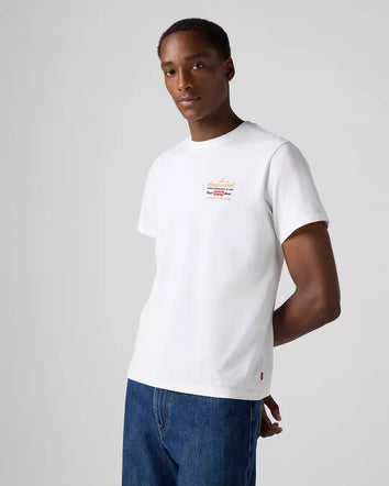 levi's® 寬鬆短袖圖案t恤 | 男裝 - multicolor | levi's hk 161432095XS- Multicolor  – Levi's 香港
