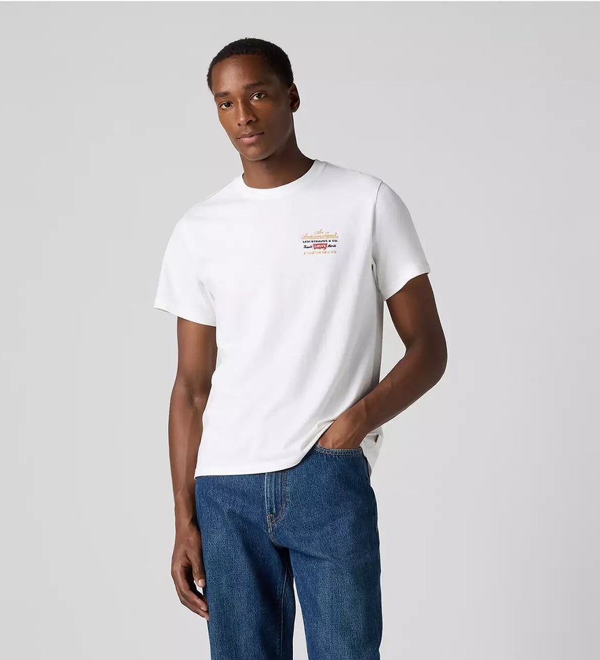 levi's® men's relaxed short sleeve graphic t-shirt 161432095XS- Multicolor – Levi's Hong Kong