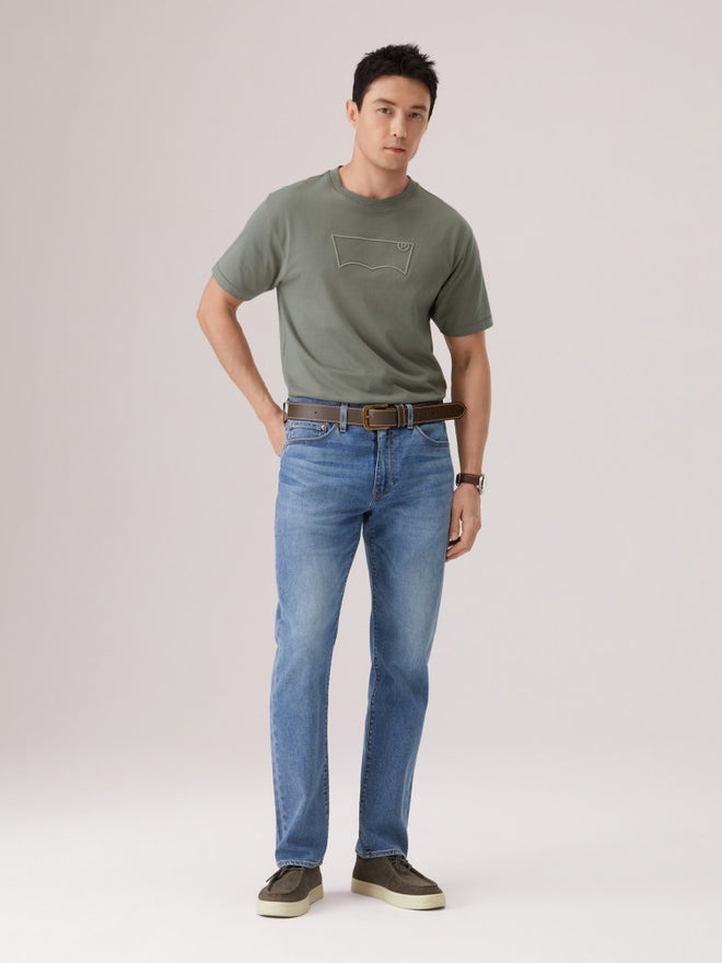  levi's® 短袖 batwing 刺繡 t恤 | 男裝 006PY0004S- Green  – Levi's 香港