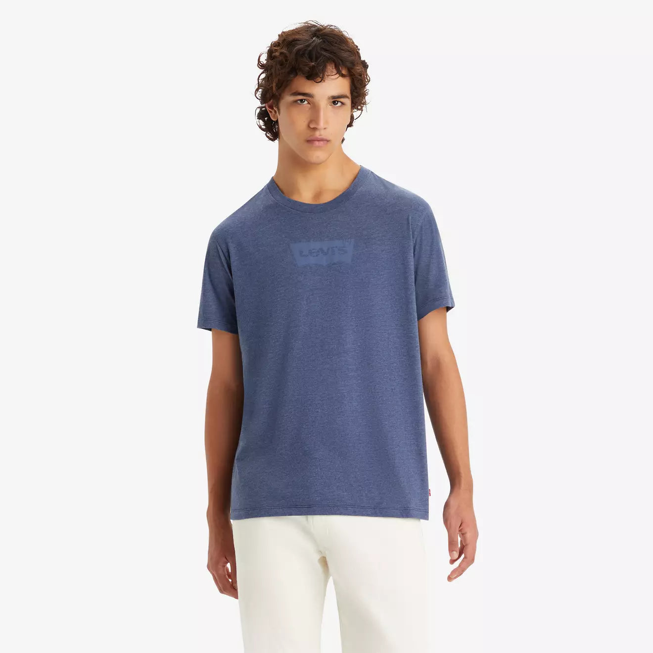 levi's® men's classic graphic t-shirt 224911450S- Blue – Levi's Hong Kong