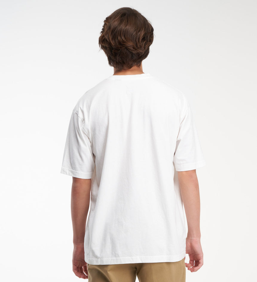 levi's® skate men's graphic boxy tee A10050001M- Lsc White Core Batwing Black – Levi's Hong Kong
