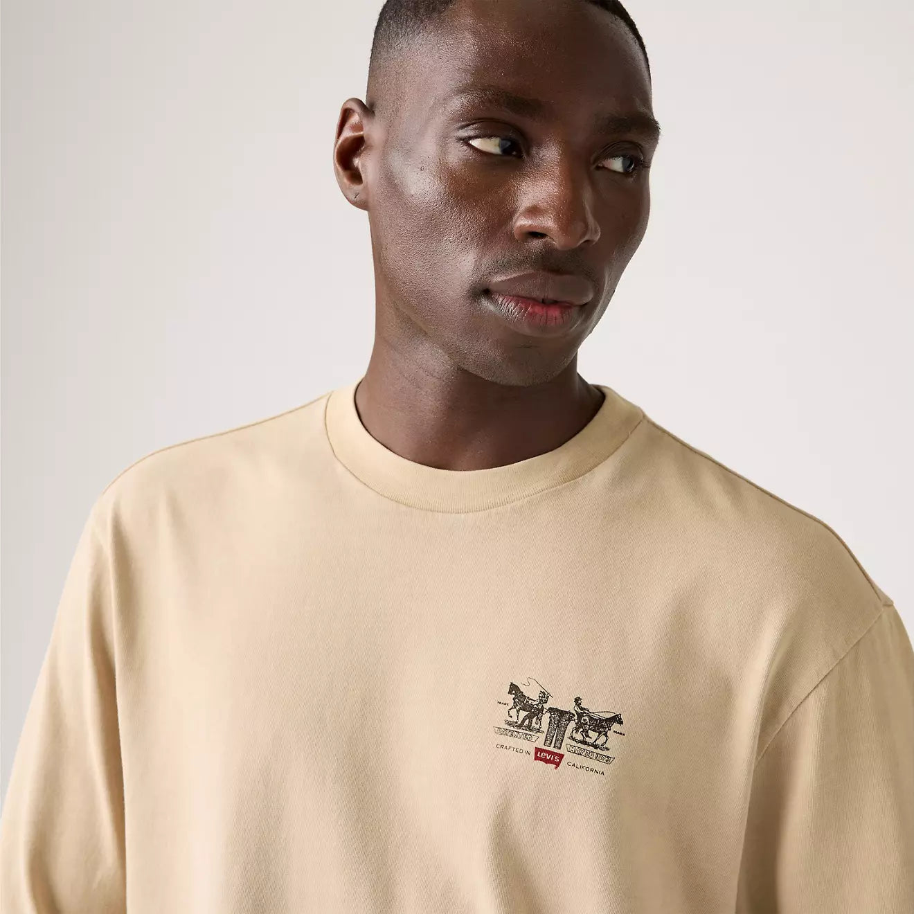 levi's® men's long-sleeve graphic authentic t-shirt A61450054XS- Archival 2Hp 2 White Pepper - Neutral – Levi's Hong Kong