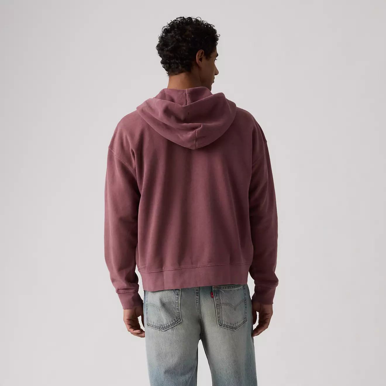 levi's® men's hayes boxy full-zip sweatshirt 005PJ0004S- Multicolor – Levi's Hong Kong