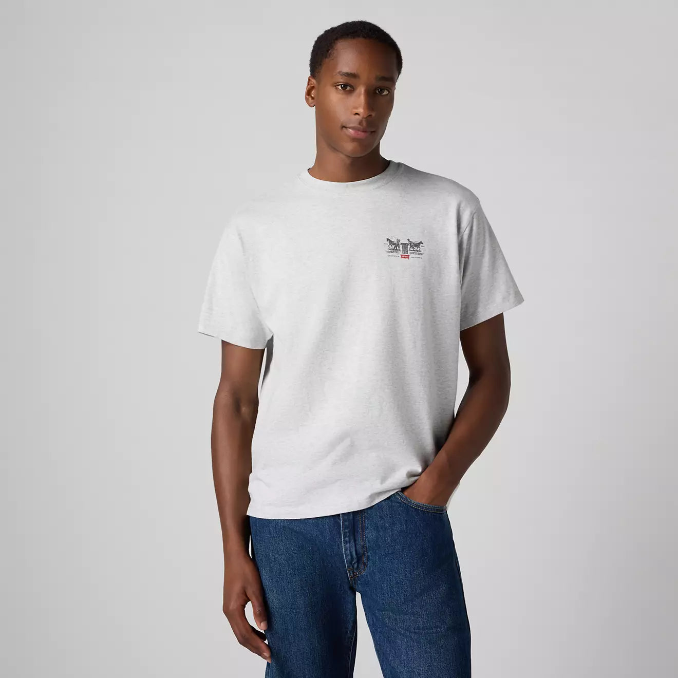 levi's® men's graphic vintage fit t-shirt 873730256M- Grey – Levi's Hong Kong