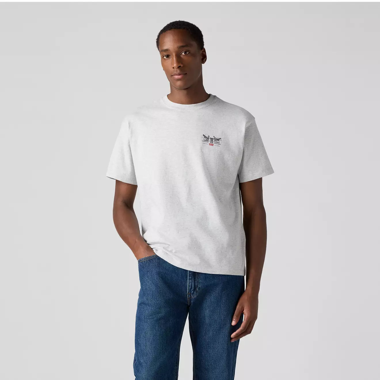 levi's® men's graphic vintage fit t-shirt 873730256M- Grey – Levi's Hong Kong