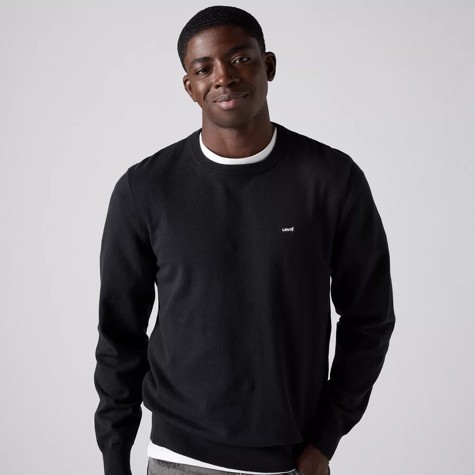 levi's® 輕盈 housemark 毛衣 | 男裝 A72070040XS- Black – Levi's 香港