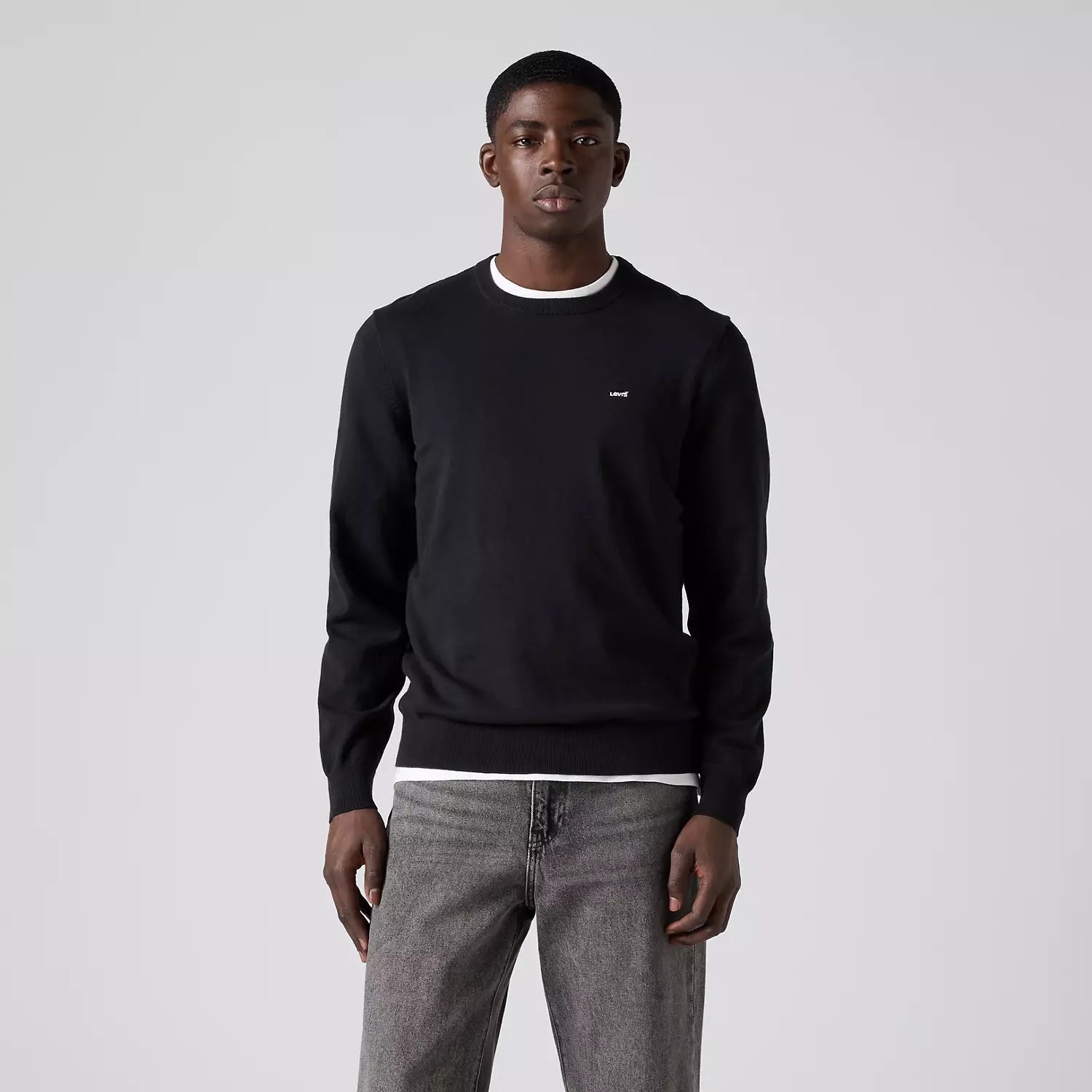 levi's® 輕盈 housemark 毛衣 | 男裝 A72070040XS- Black – Levi's 香港