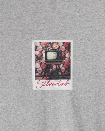 levi's® 寬鬆剪裁短袖圖案t恤 | 男裝 161431338S- Polaroid Relaxed Tee Midtone Heather Grey - Grey  – Levi's 香港