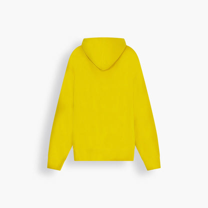 Levi's® Skate Men's Hooded Sweatshirt