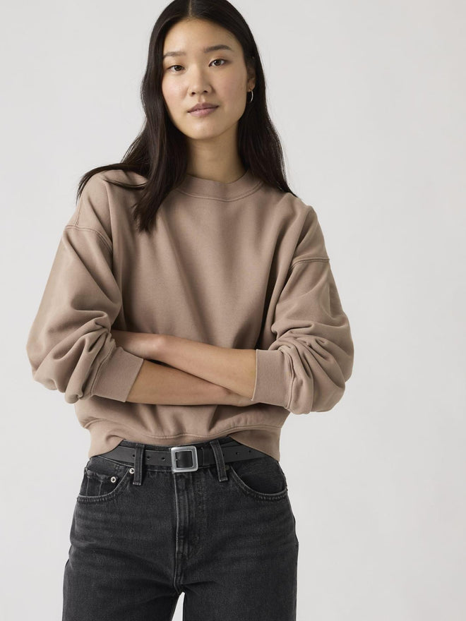 levi's® 復古寬鬆衛衣 | 女裝 005I90001XS- Multicolor  – Levi's 香港
