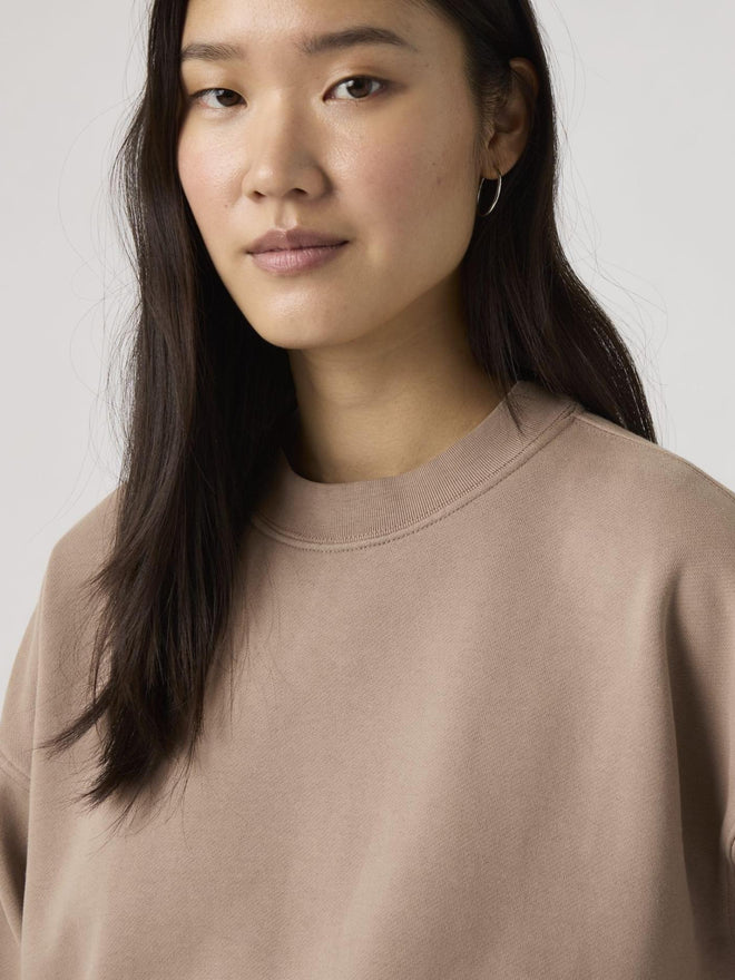 levi's® 復古寬鬆衛衣 | 女裝 005I90001XS- Multicolor  – Levi's 香港